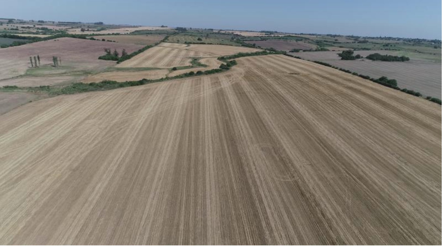 Prime Cropping Farmland 60 Hectares San Jose Uruguay